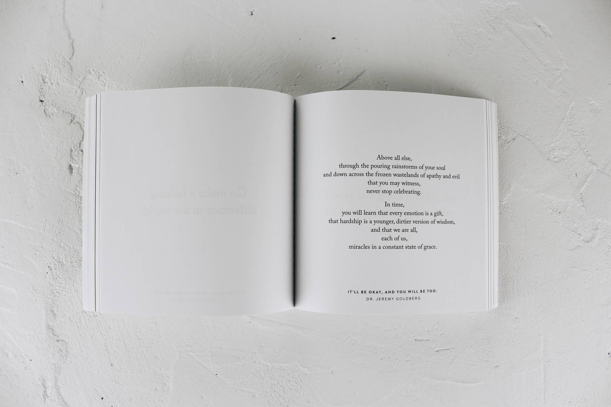 It'll Be Okay, And You Will Be Too - book, photo 7 of 8