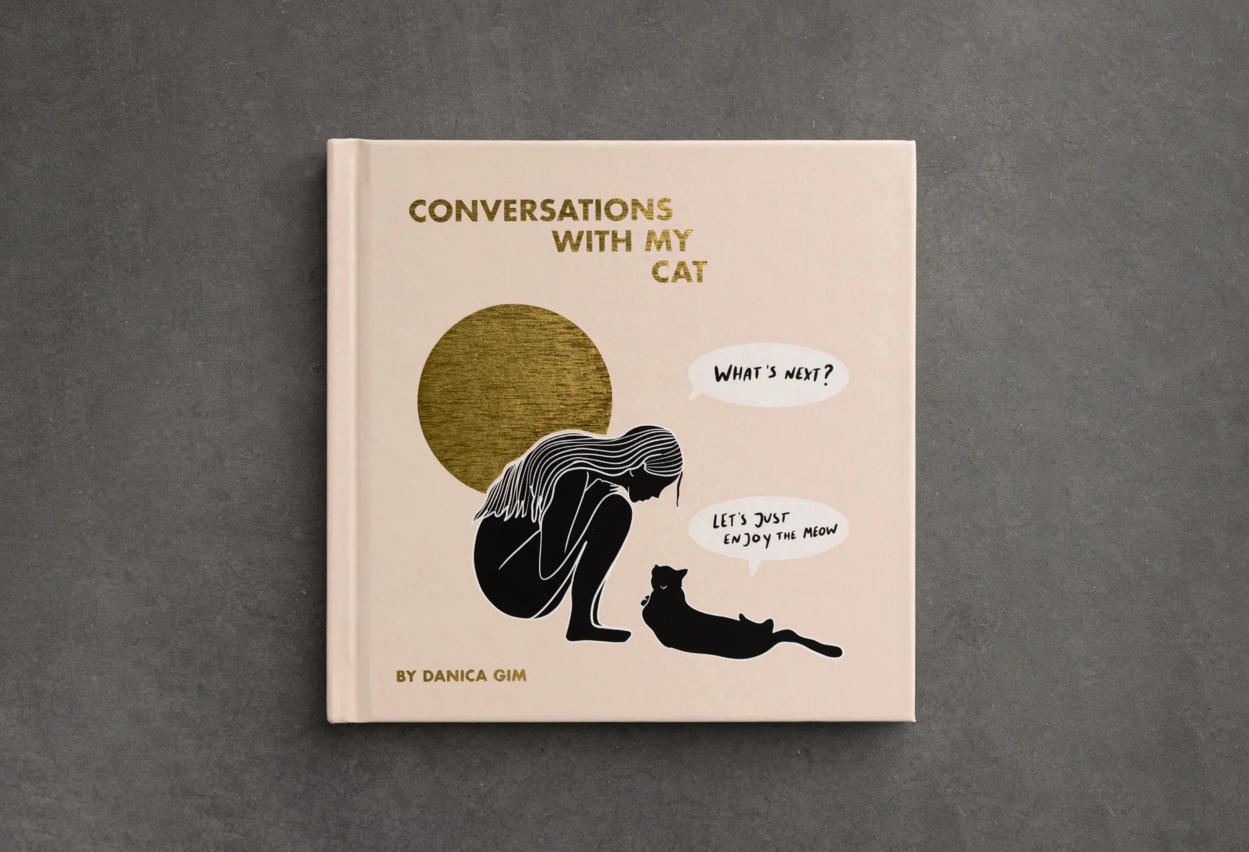 Conversations With My Cat - illustrated book, photo 1 of 7