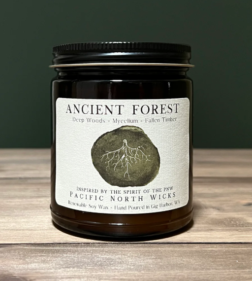 Ancient Forest