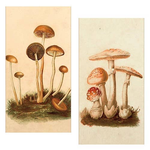 Vintage Mushrooms Matchbox - ANN343