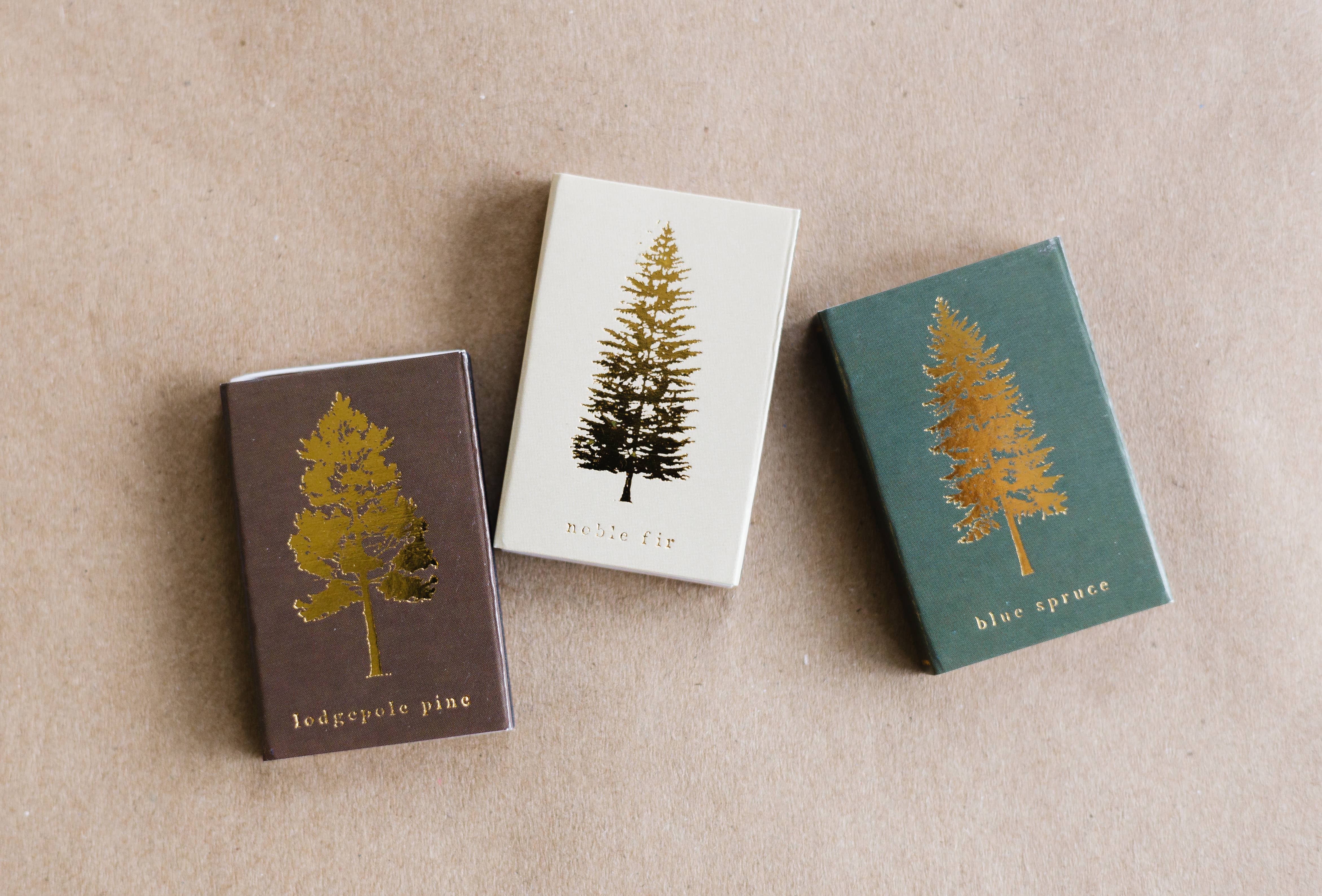 Lodgepole Pine Tree Matchbox | Tall Evergreen Matches, photo 3 of 8