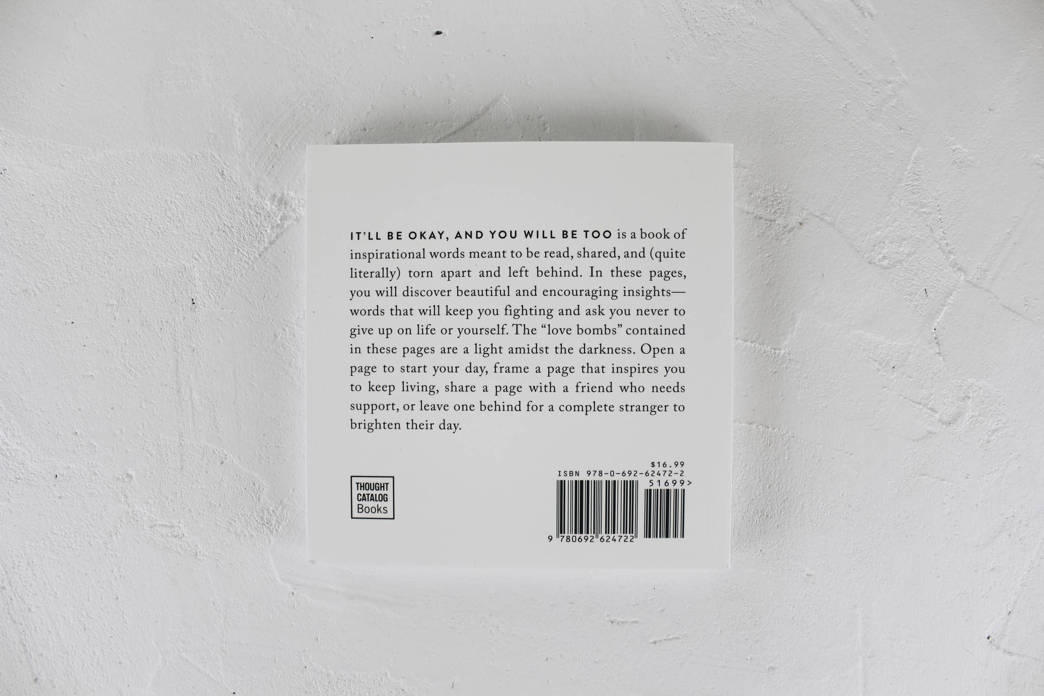 It'll Be Okay, And You Will Be Too - book, photo 8 of 8
