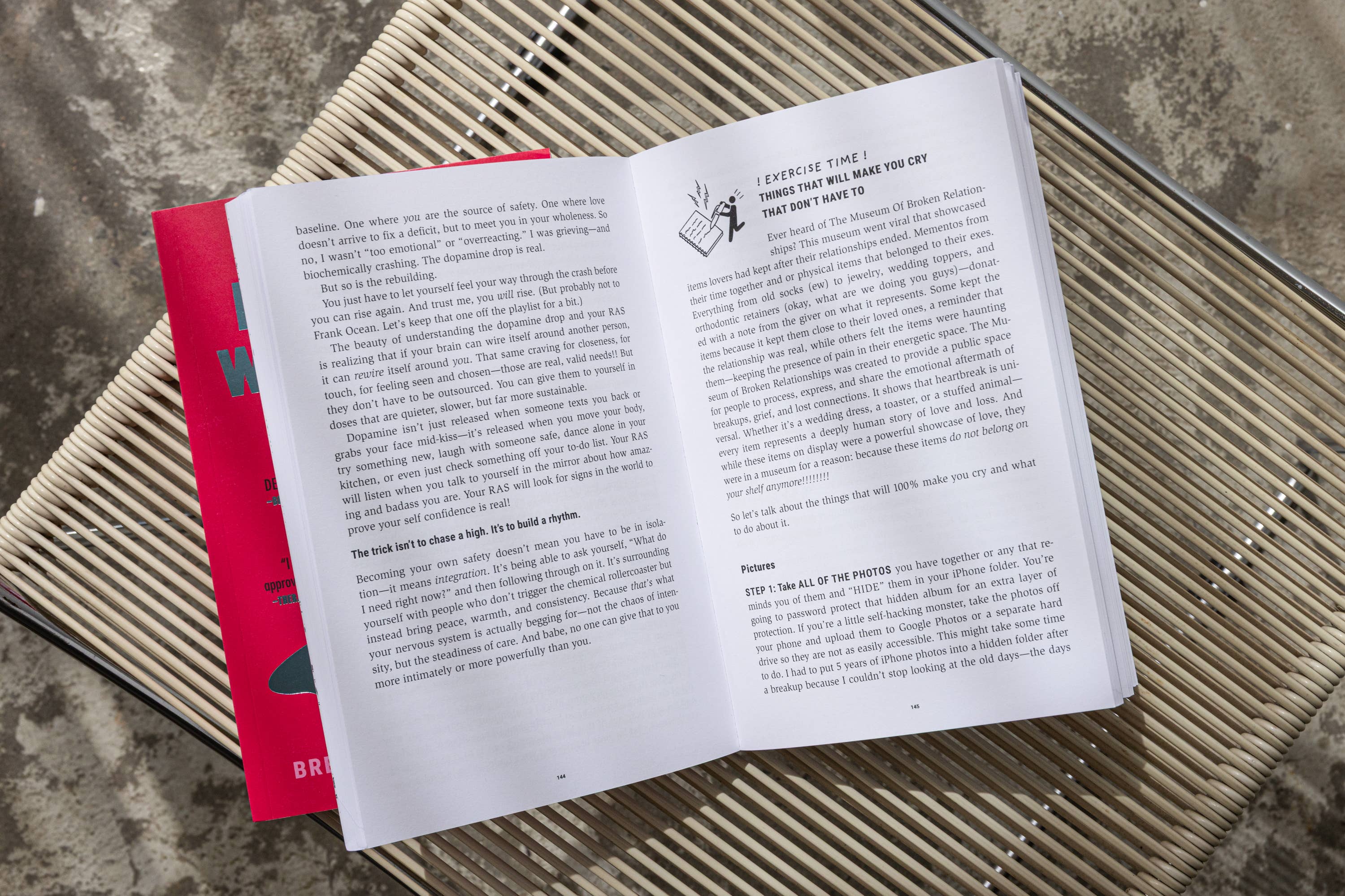 Don't Do What I Did (book), photo 6 of 8