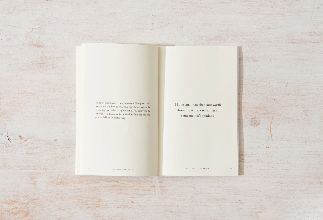 Stay Until Tomorrow - book, photo 4 of 6