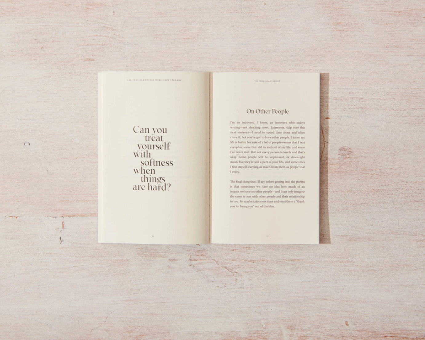 All Familiar Things Were Once Strange - book, photo 5 of 5