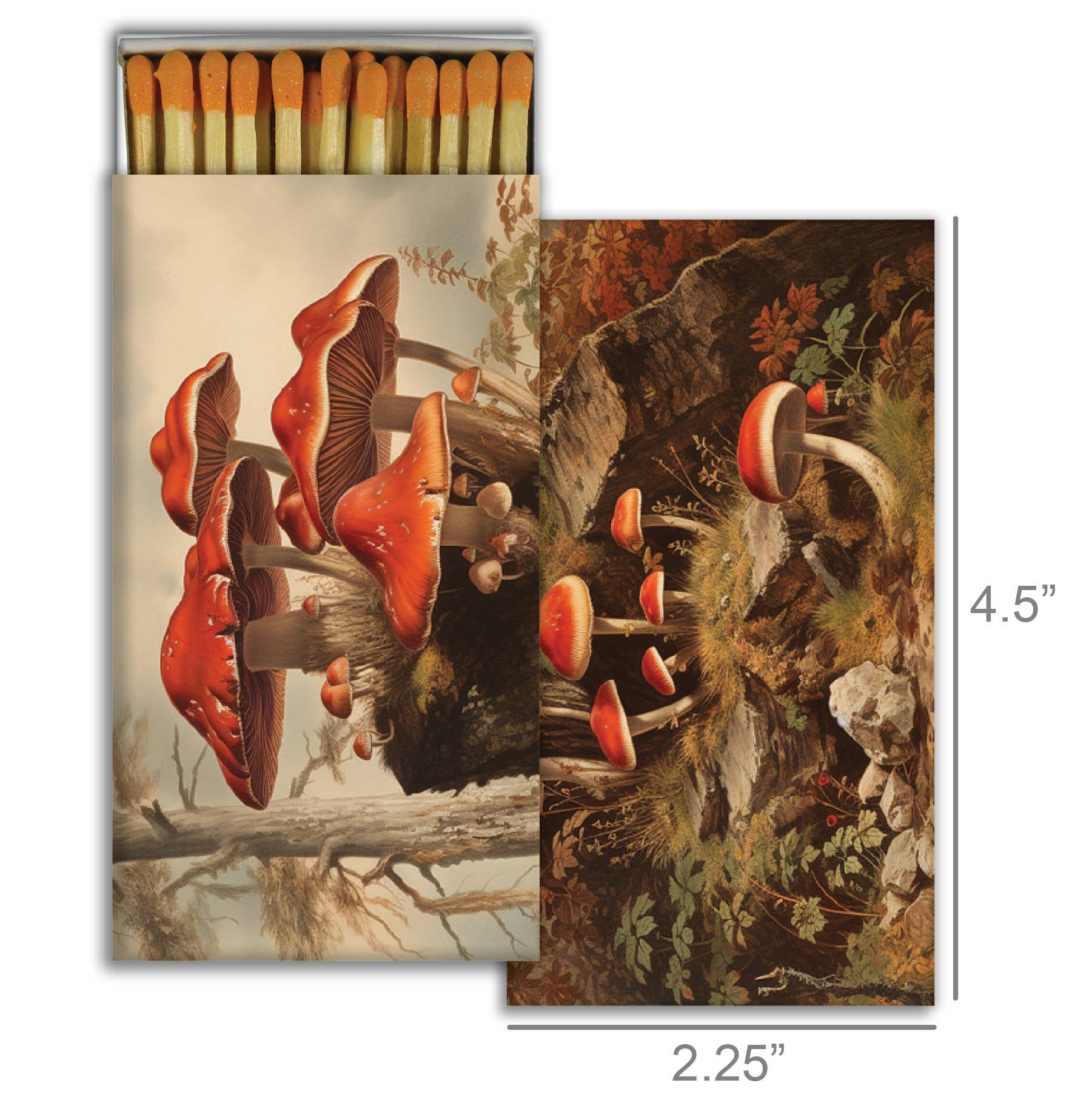 Matches - Fall Mushrooms, photo 2 of 2