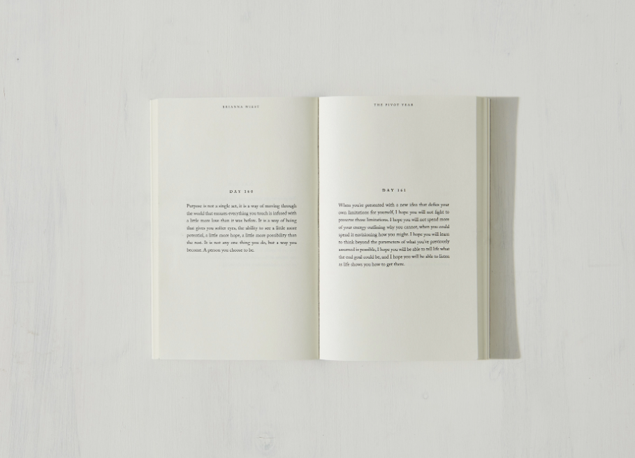 The Pivot Year - book, photo 2 of 8