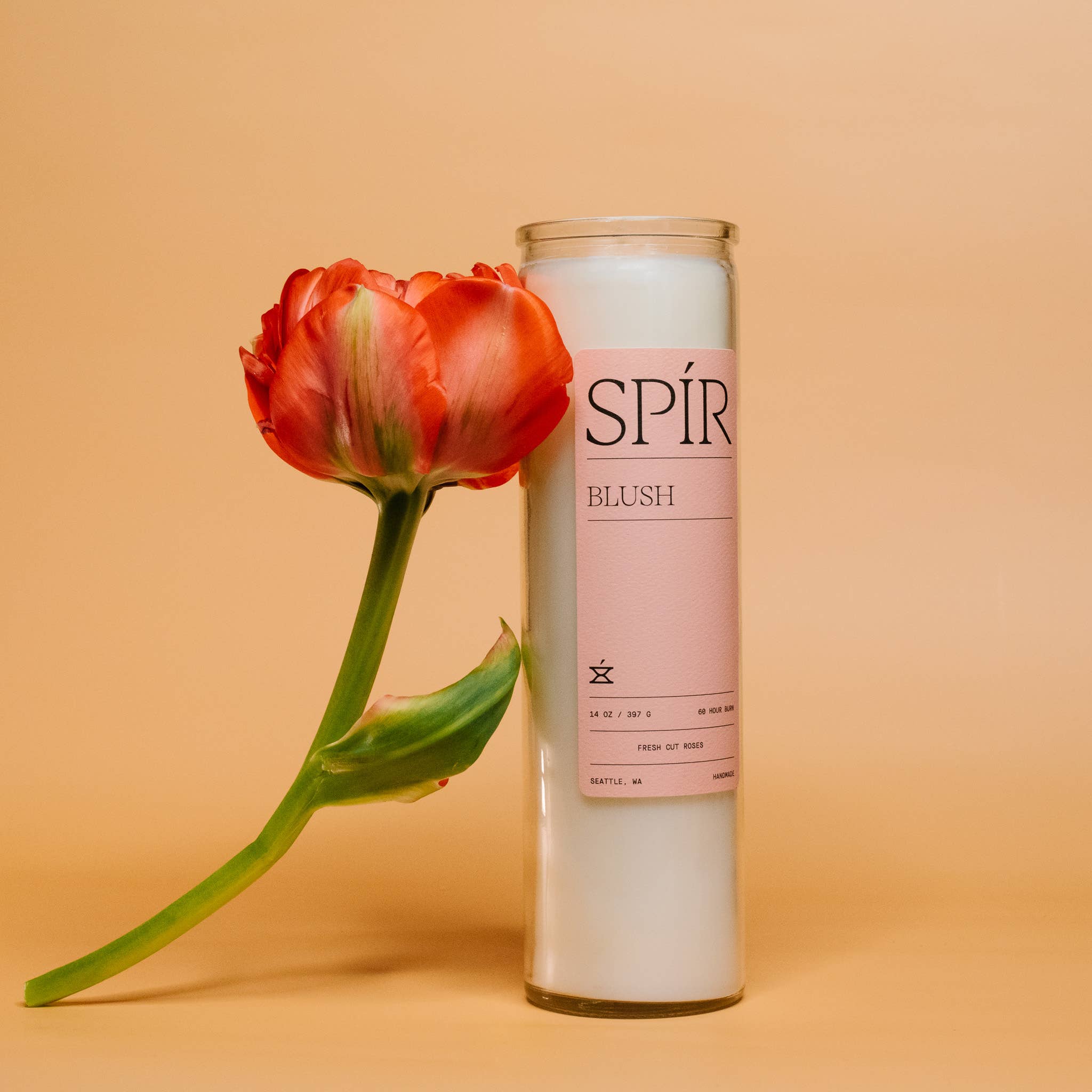 Blush – 14 oz Candle, photo 2 of 5