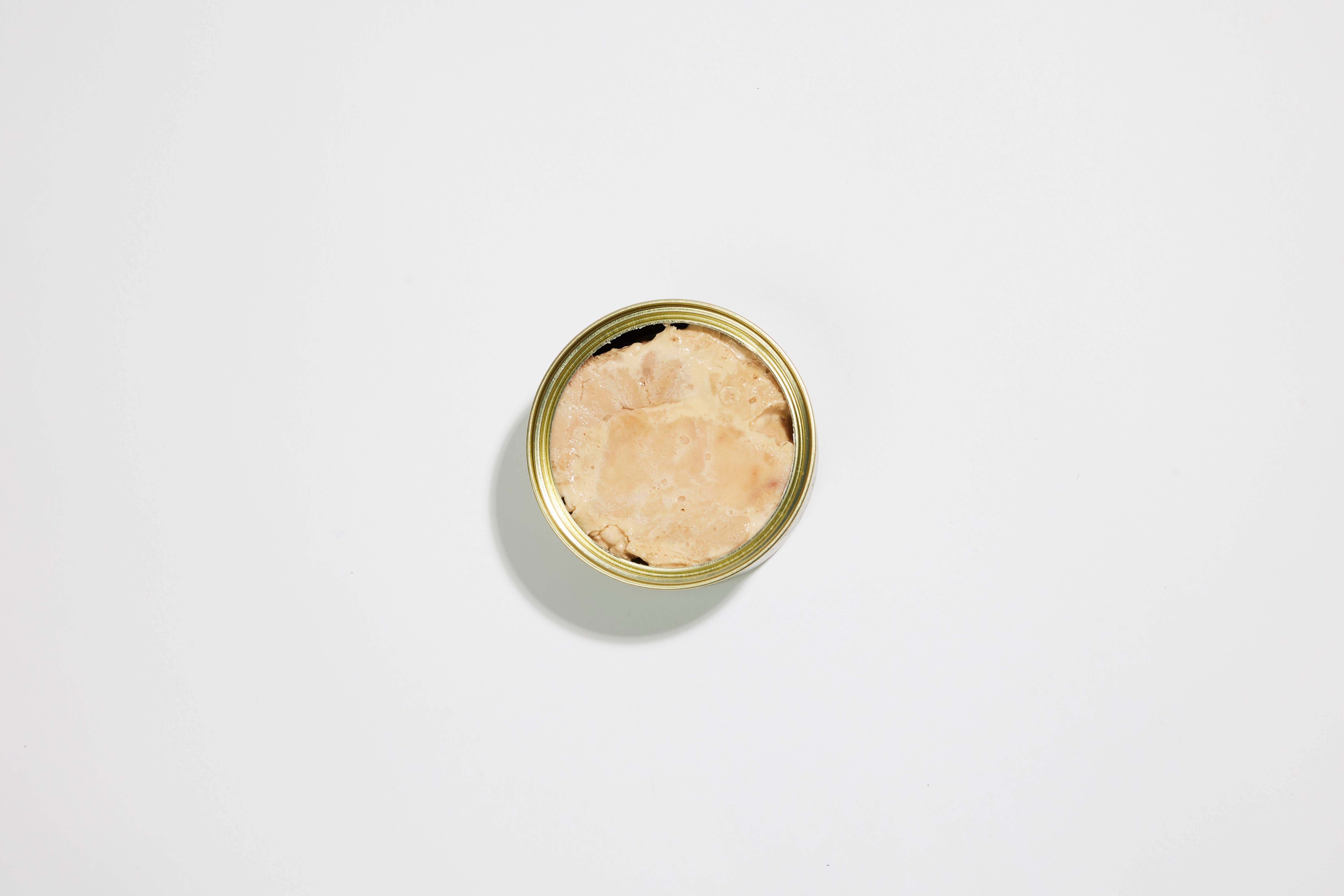 Albacore Tuna, photo 2 of 6