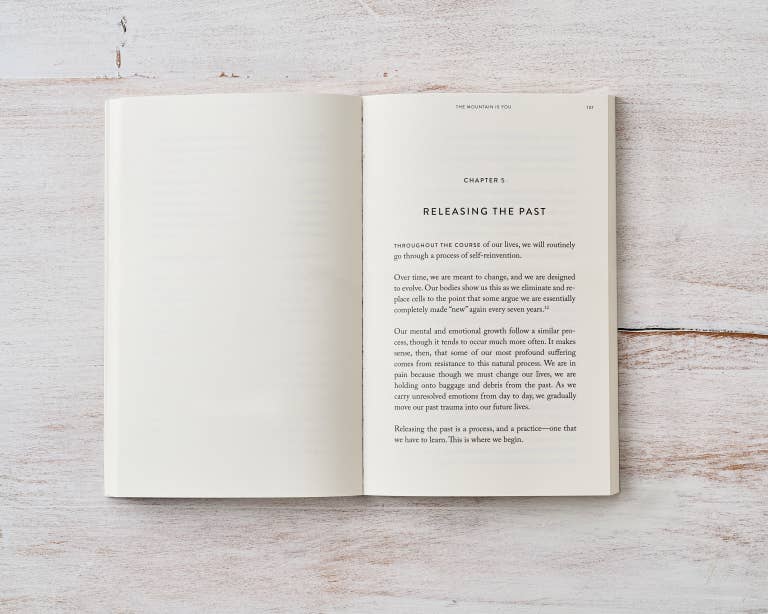 The Mountain Is You - book: Paperback, photo 8 of 8