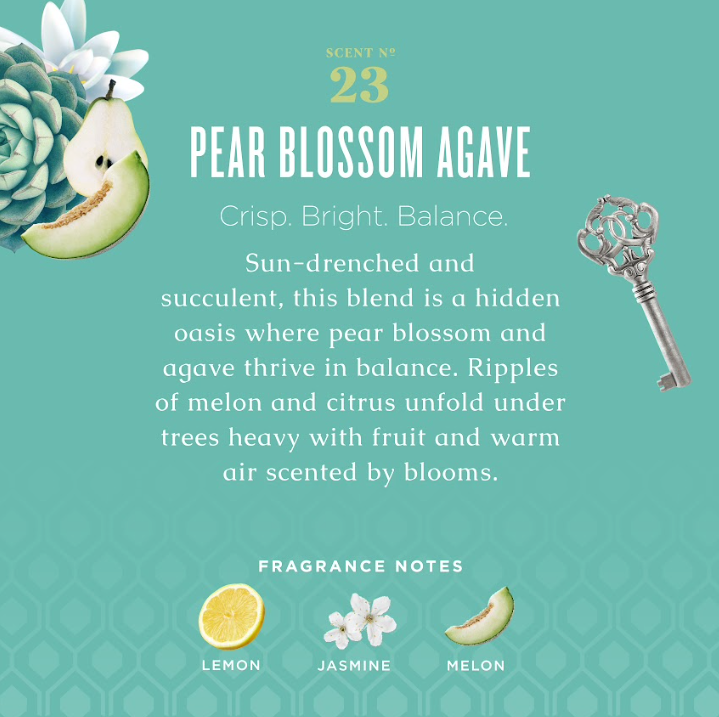Pear Blossom Agave Countertop Spray, photo 3 of 4