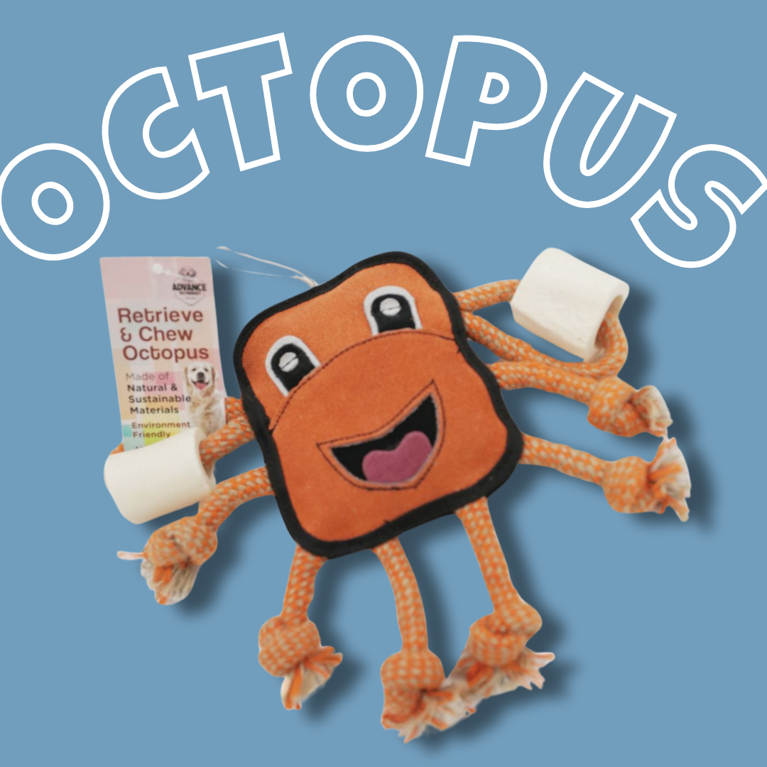 Octopus Rope & Bone Toy