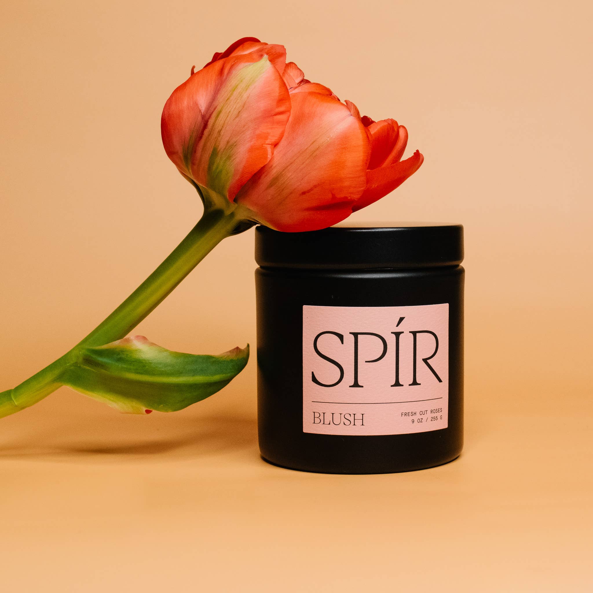 Blush – 9 oz Candle, photo 4 of 6