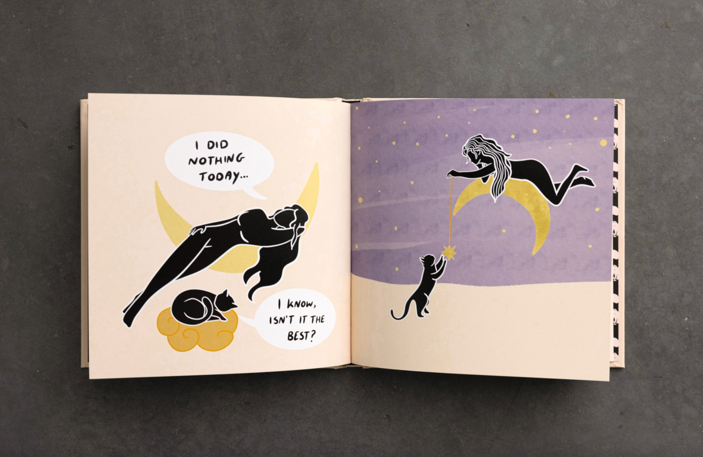 Conversations With My Cat - illustrated book, photo 3 of 7