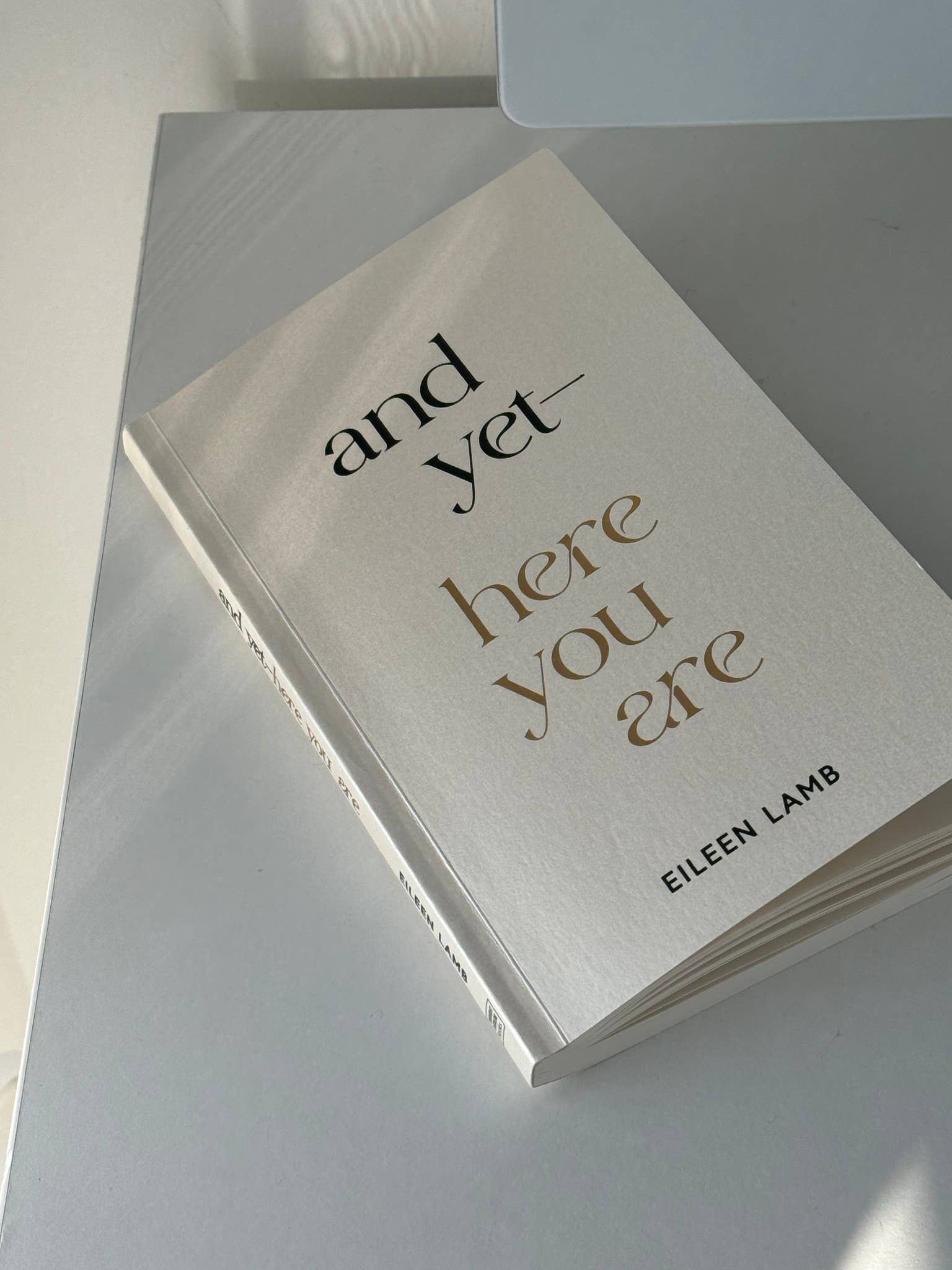 And Yet – Here You Are (book), photo 7 of 8