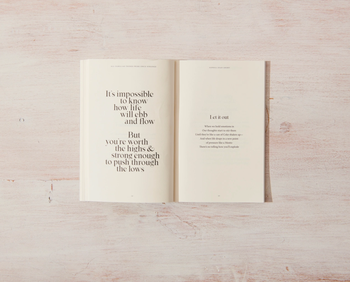 All Familiar Things Were Once Strange - book, photo 4 of 5