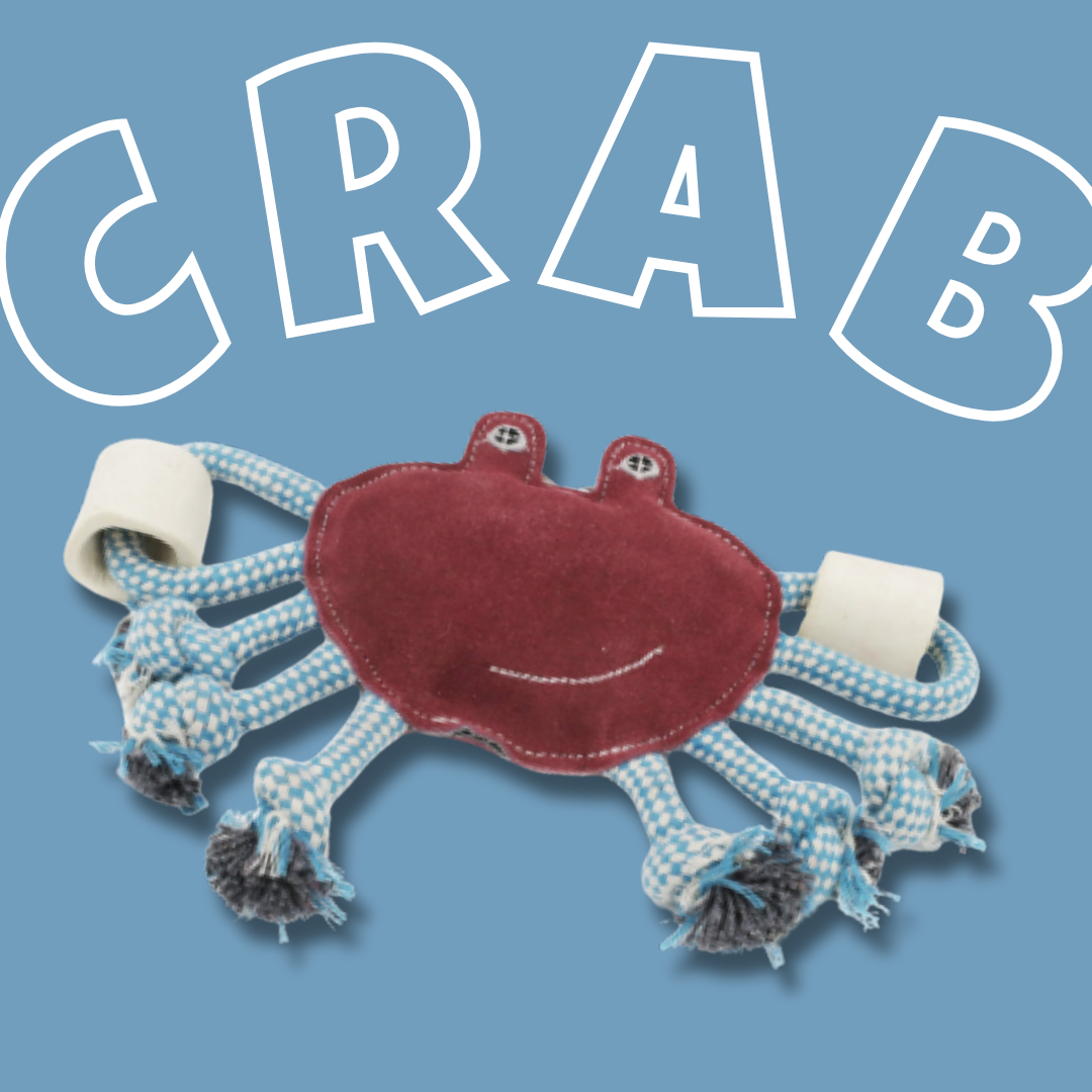 Crab Rope & Bone Toy