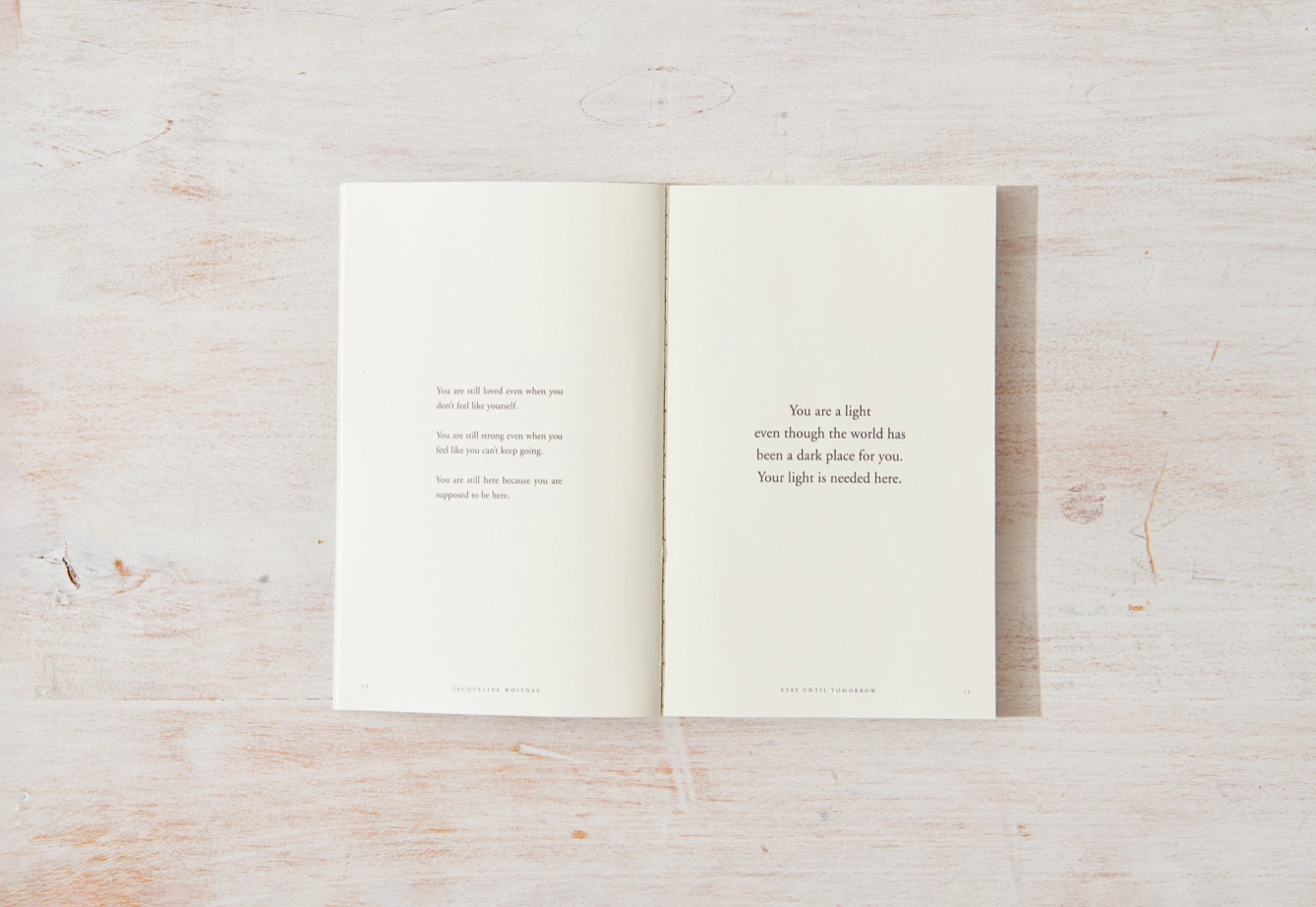 Stay Until Tomorrow - book, photo 2 of 6