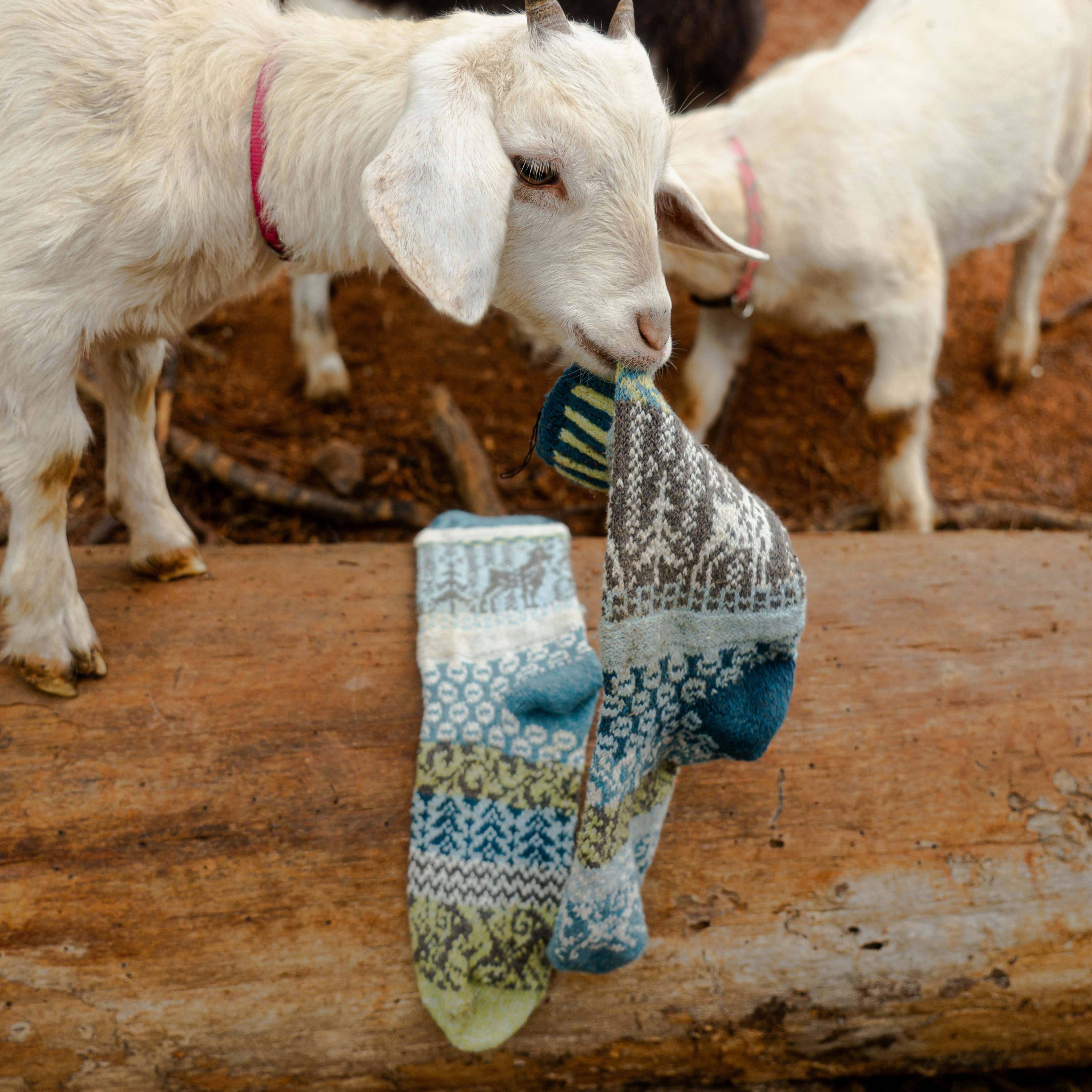 Goat Crew Socks | Socks That Give Back to National Parks: XL (Womens 12-14 / Mens 12+), photo 3 of 5