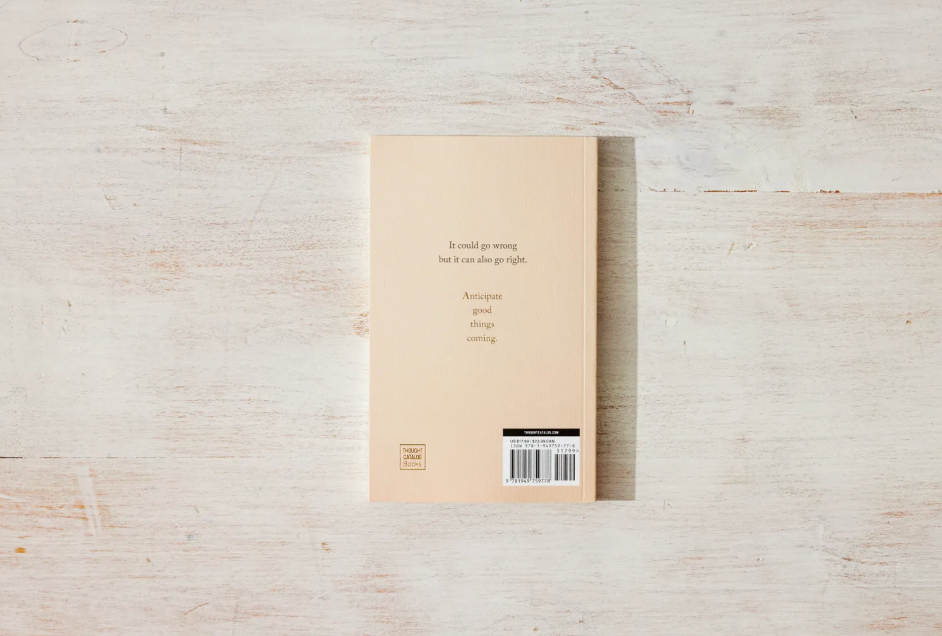 Anticipate Good Things Coming - book, photo 6 of 6