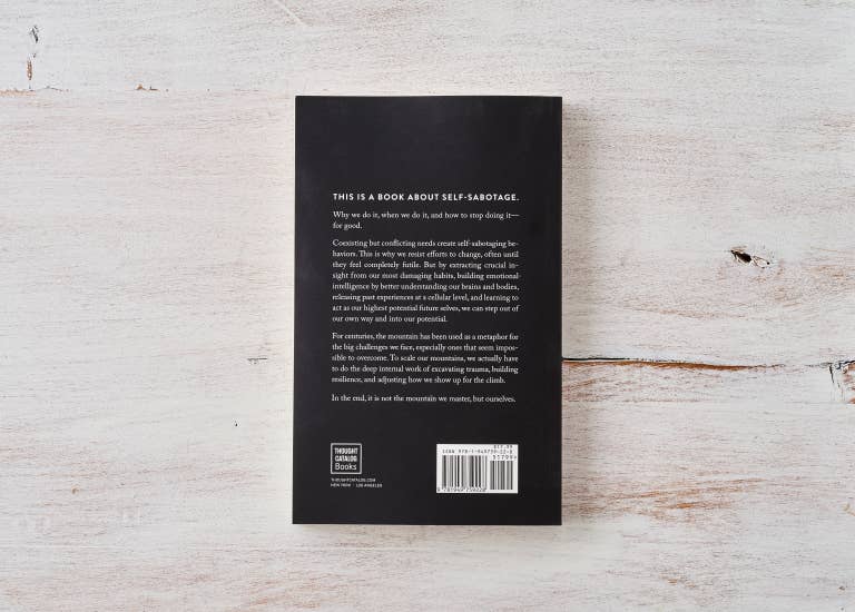 The Mountain Is You - book: Paperback, photo 3 of 8