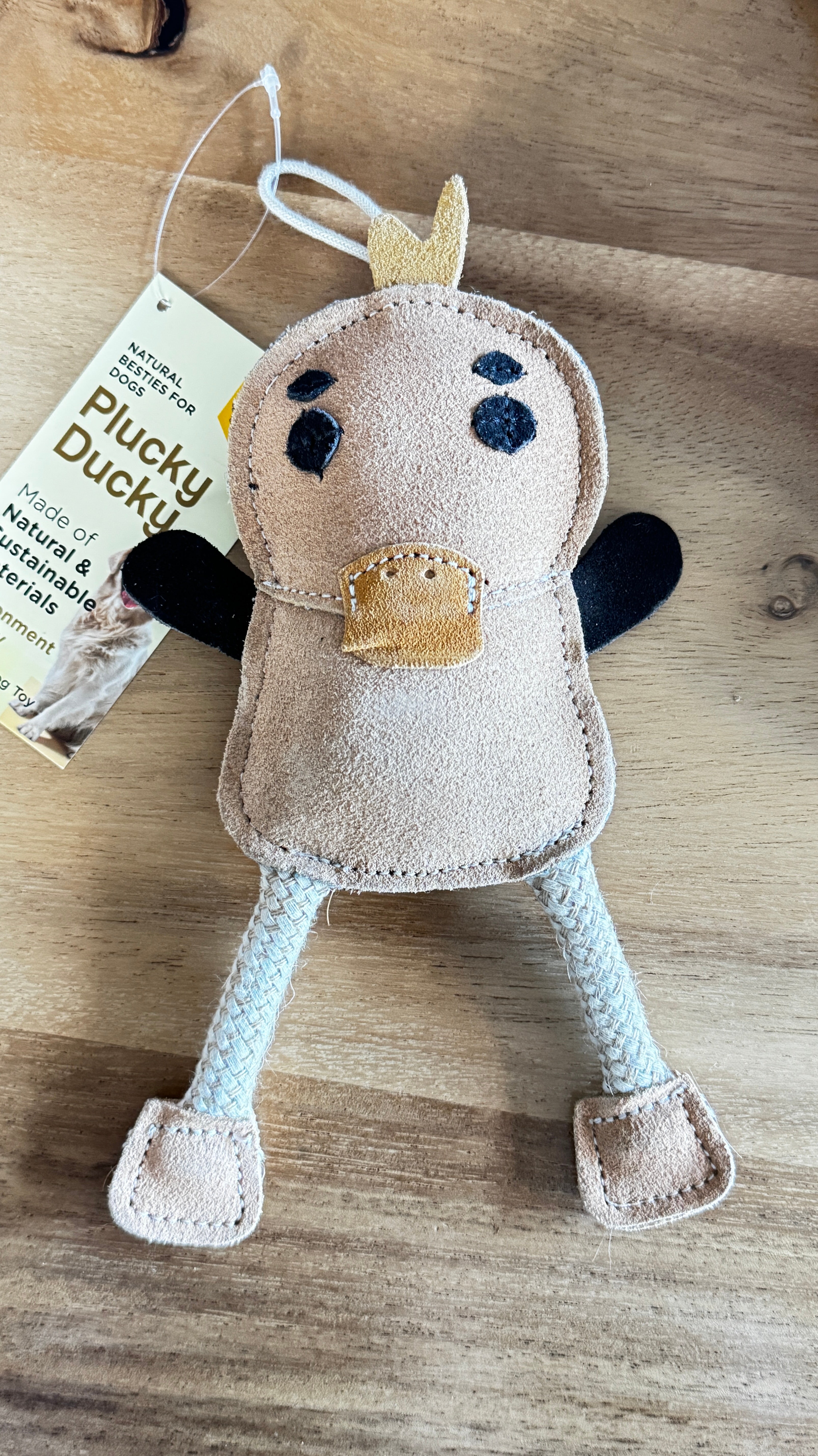 Plucky Ducky