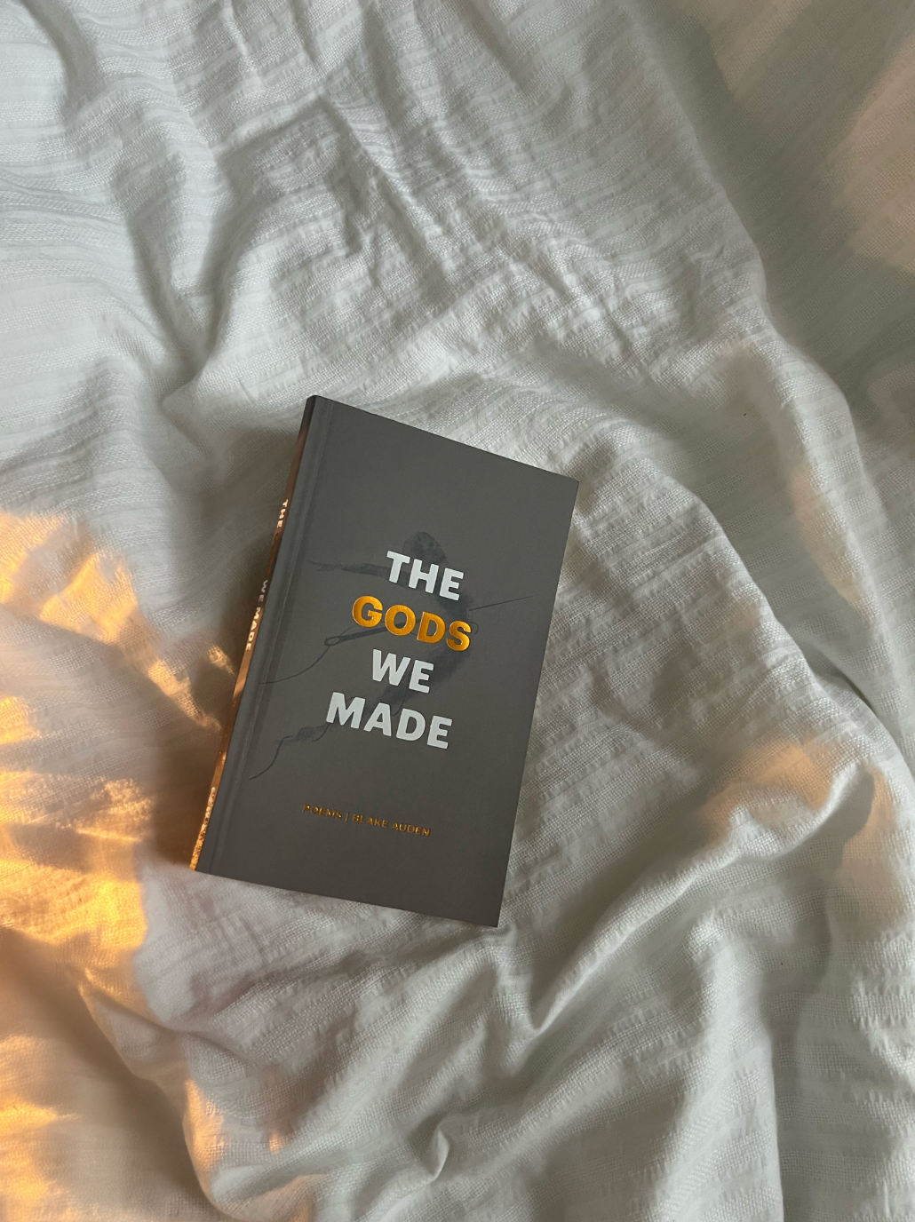 The Gods We Made - poetry book, photo 5 of 5