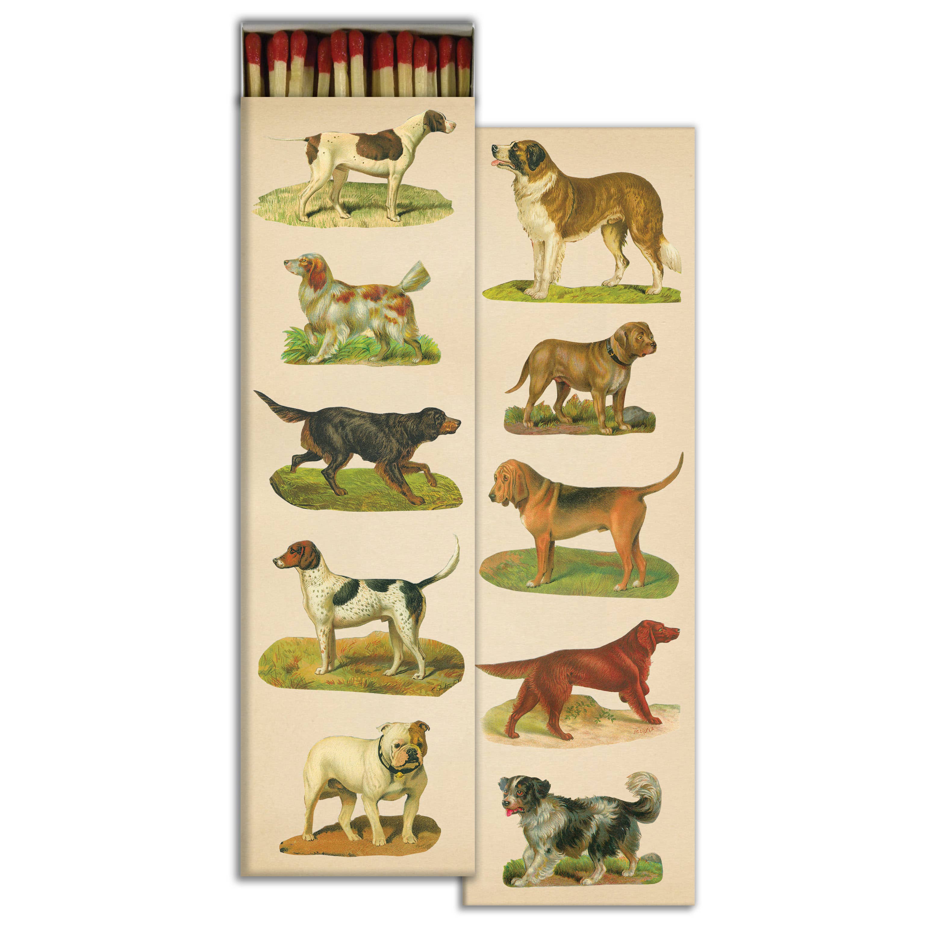 Matches - Dog Collage, photo 1 of 2