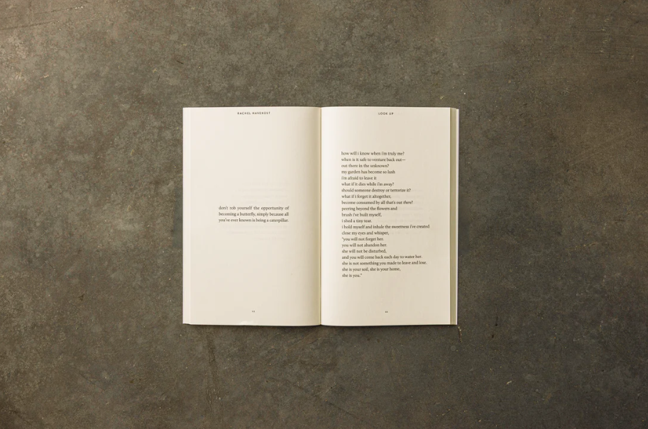 Look Up (book), photo 3 of 7