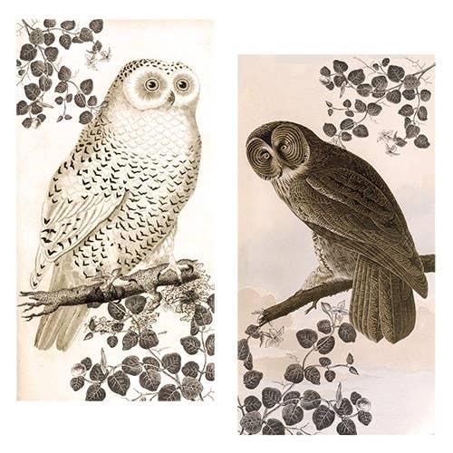 Vintage Owl Large Matchbox - ANN330