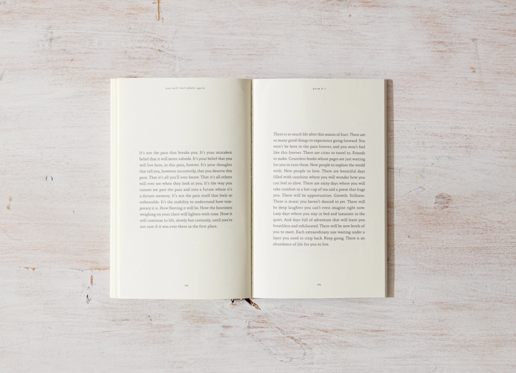 You Will Feel Whole Again - book, photo 3 of 5