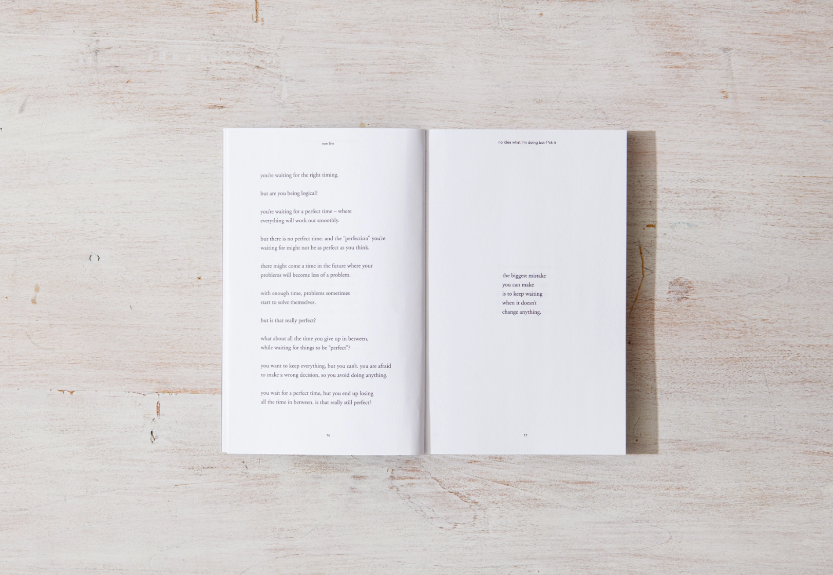 No Idea What I'm Doing But F*ck It - book, photo 6 of 7