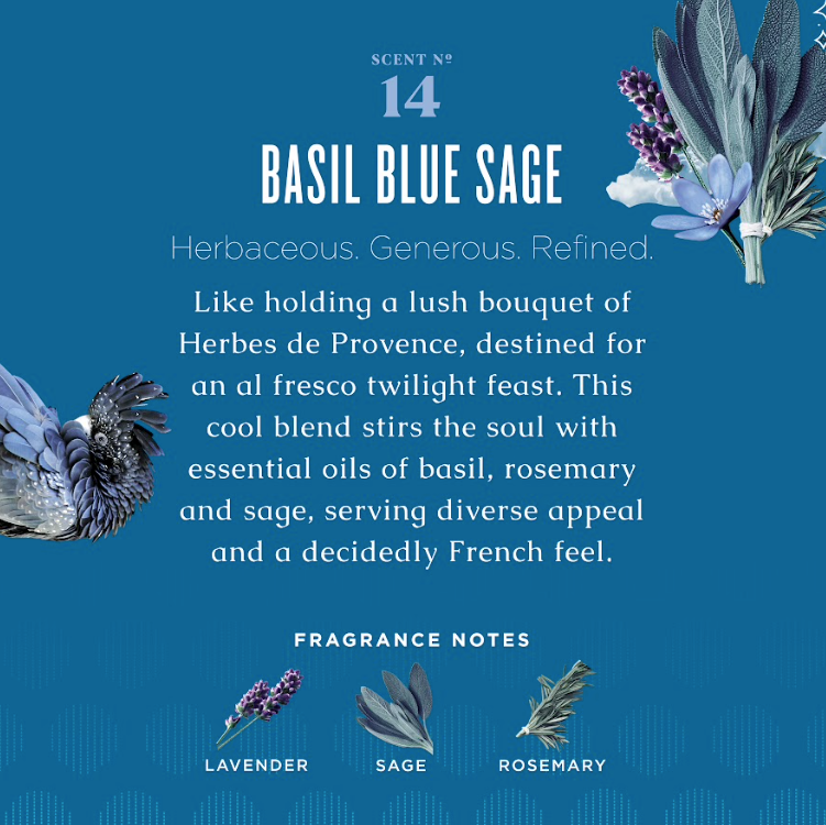Basil Blue Sage Biodegradable Dish Soap, photo 3 of 3