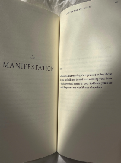 Beauty In The Stillness - book, photo 6 of 7