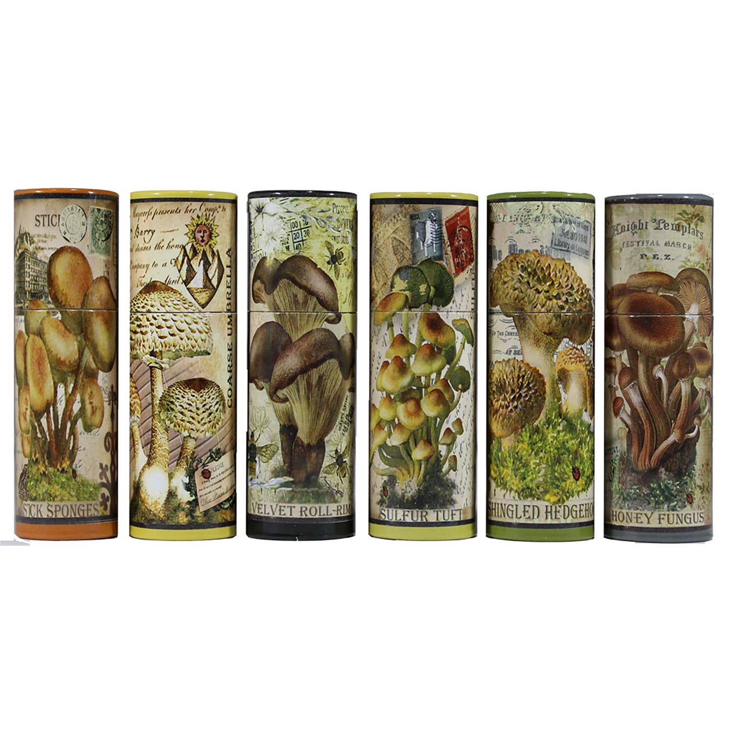 ANN465 - Vintage Mushroom Illustration Match Tube