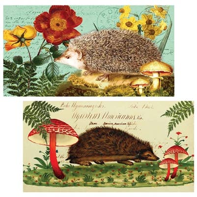 Henrietta Hedgehog Matchbox 1Dz ANN356