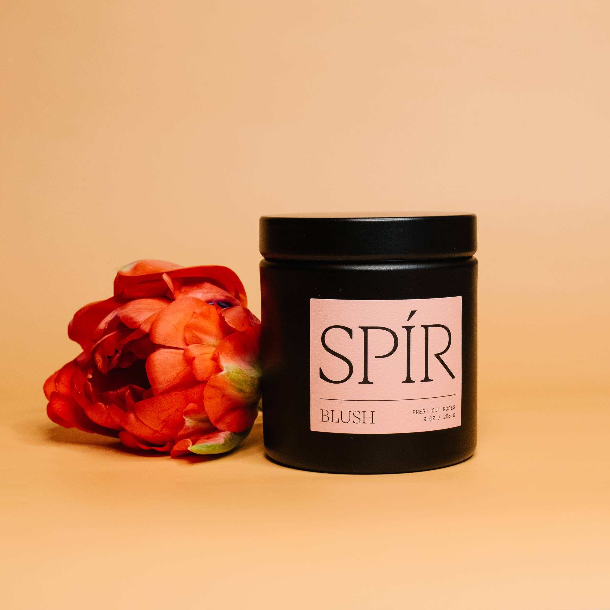 Blush – 9 oz Candle, photo 2 of 6