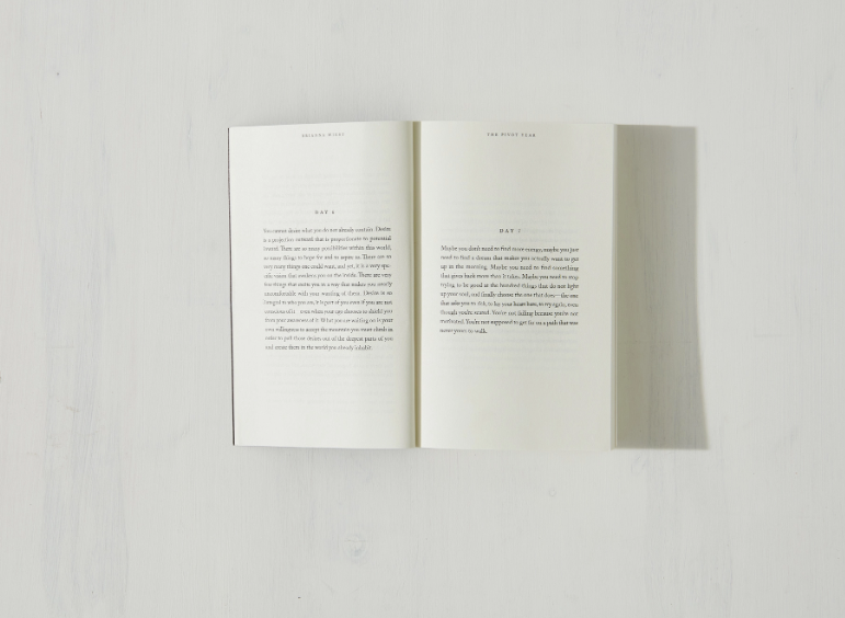 The Pivot Year - book, photo 3 of 8