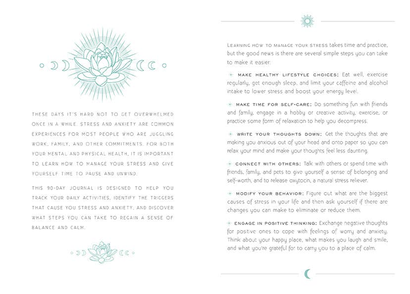 Calm: A Day and Night Reflection Journal, photo 2 of 4