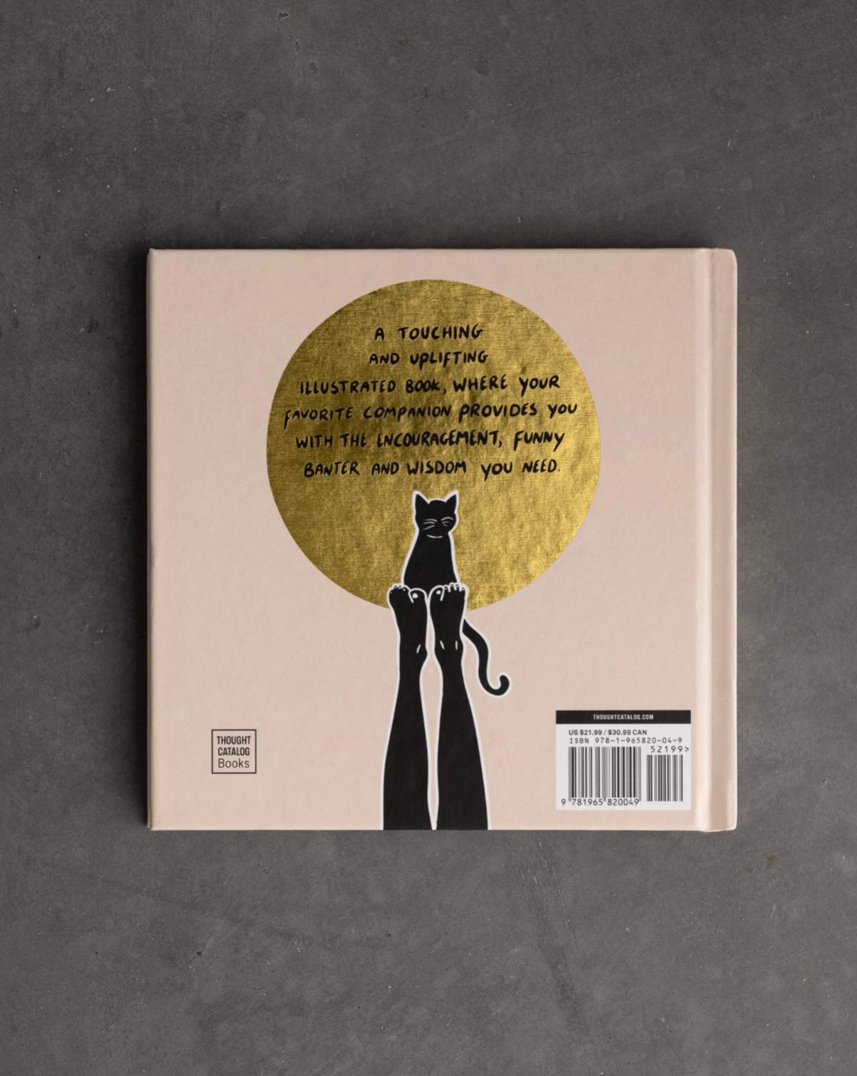 Conversations With My Cat - illustrated book, photo 4 of 7