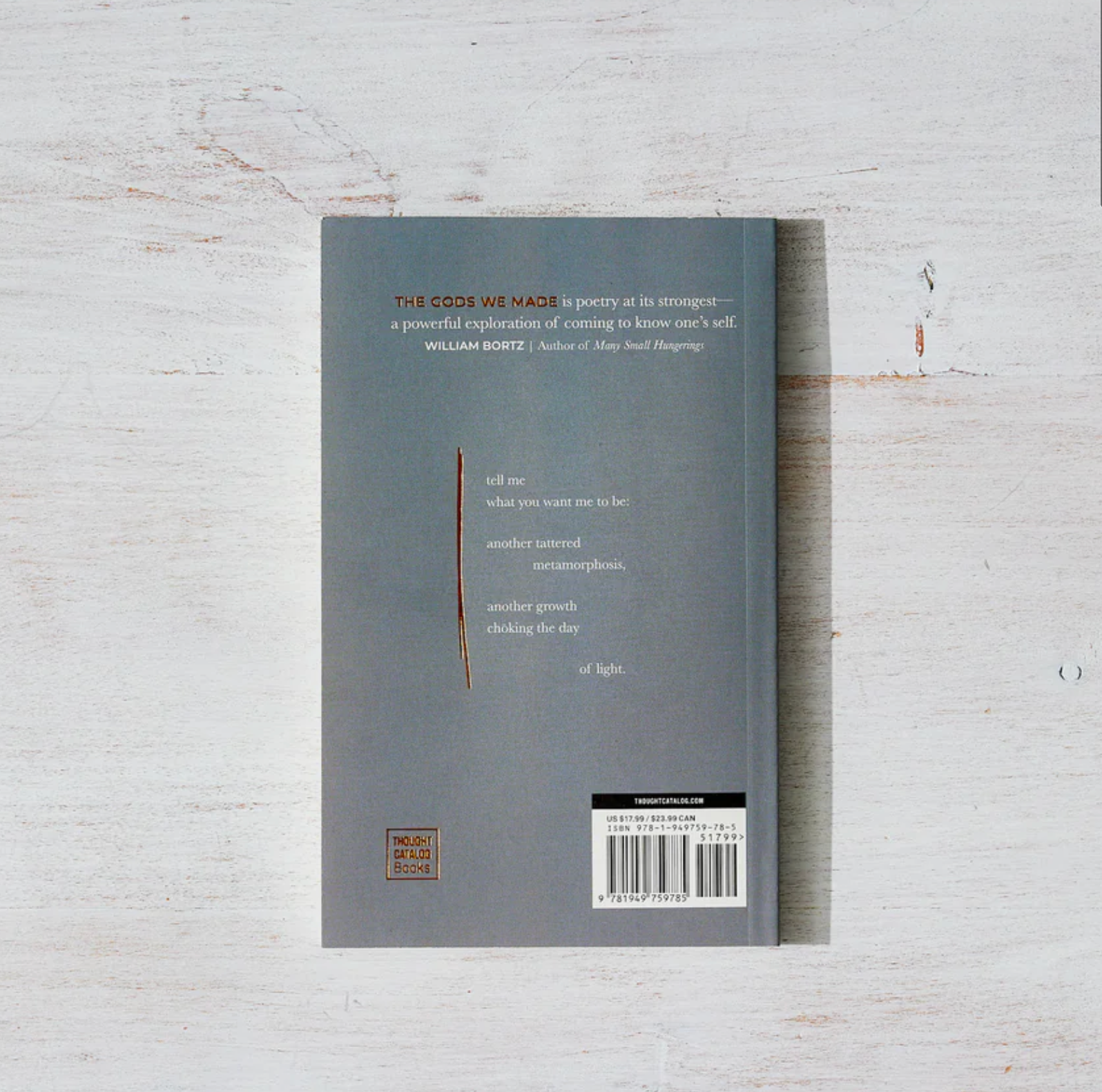 The Gods We Made - poetry book, photo 2 of 5