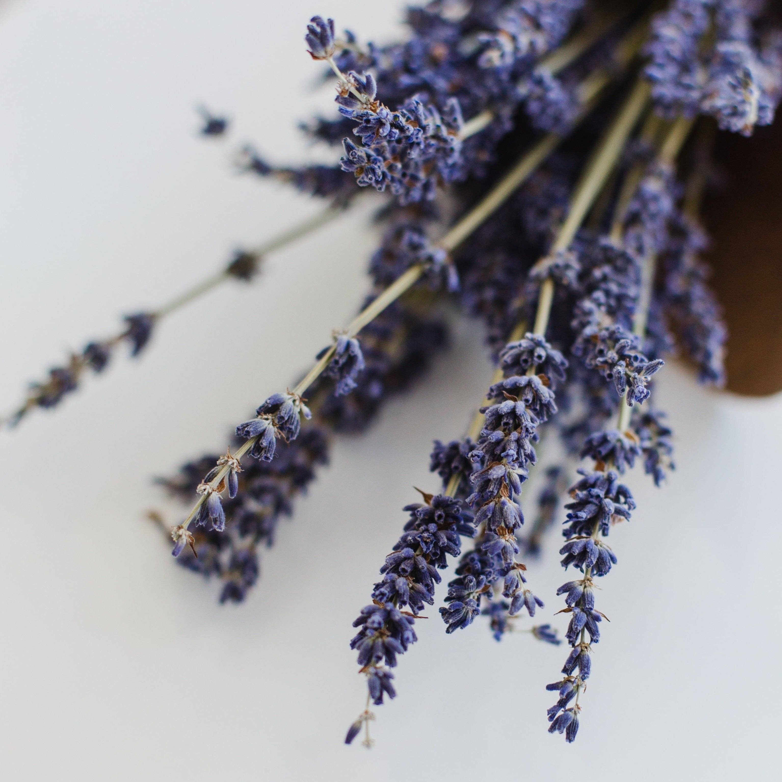 Lavender Earl Grey Black Tea Mini Tea Tube Gift (5 tea bags), photo 7 of 8