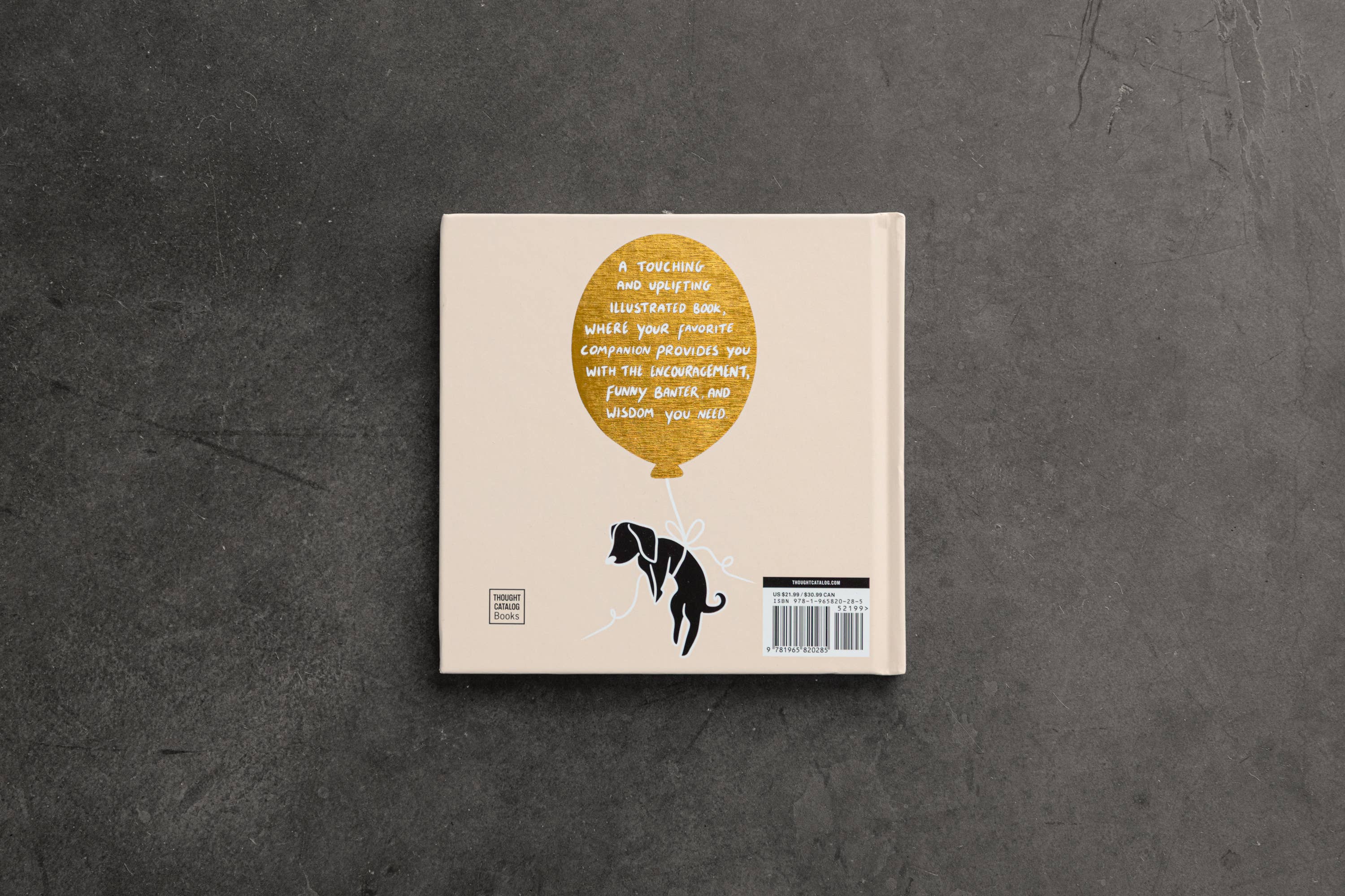 Conversations With My Dog (illustrated book), photo 3 of 4