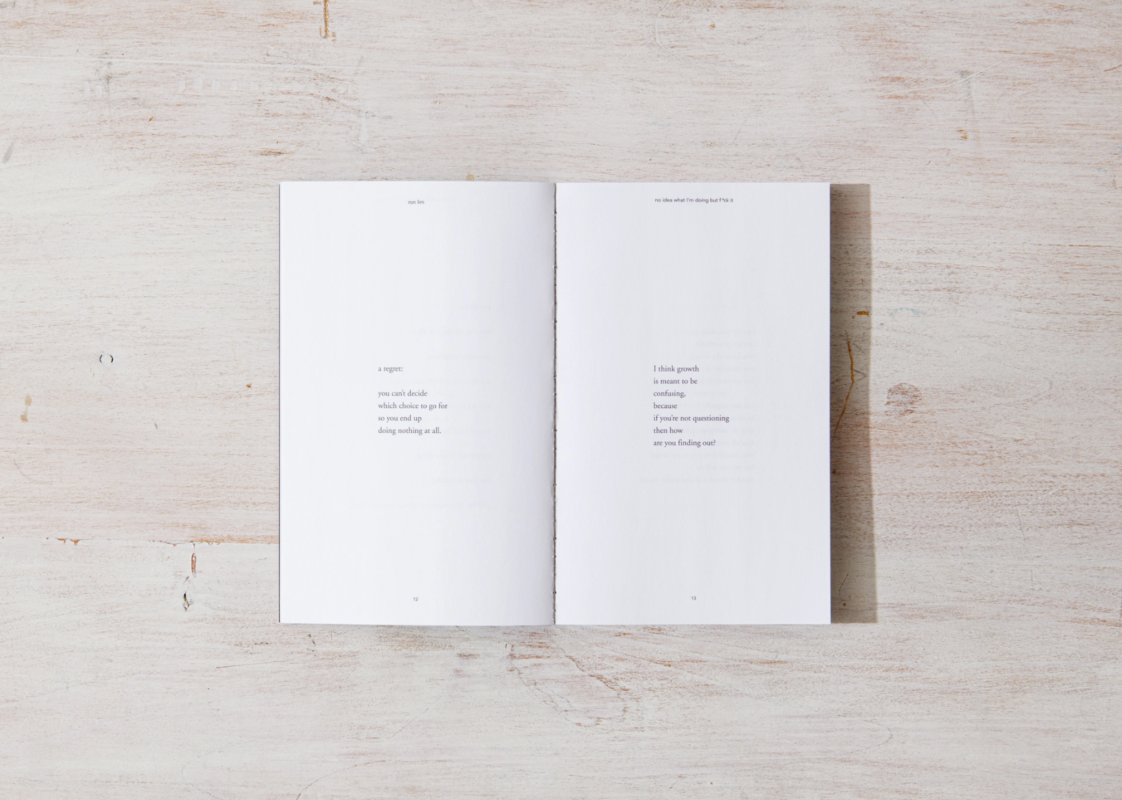 No Idea What I'm Doing But F*ck It - book, photo 2 of 7