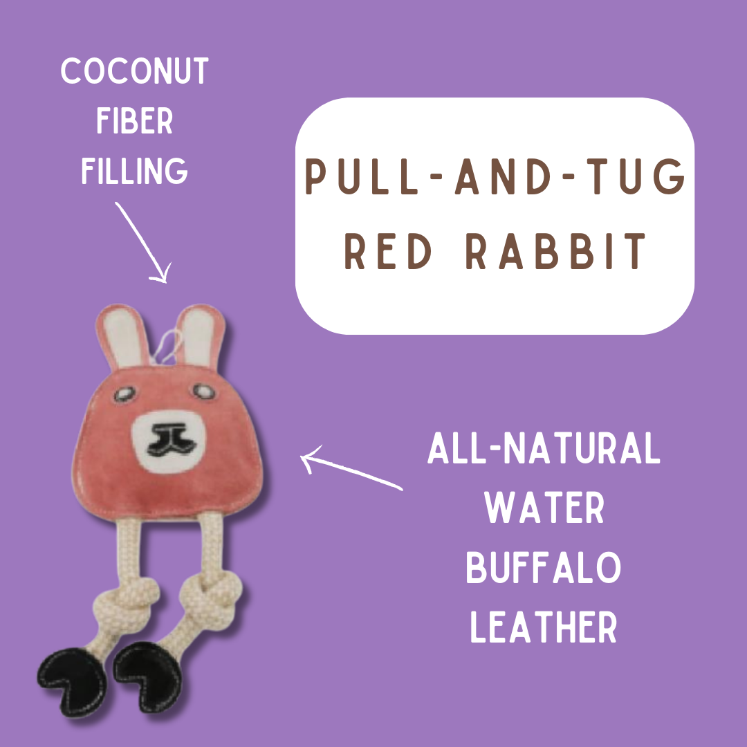 Red Pull-and Tug Rabbit