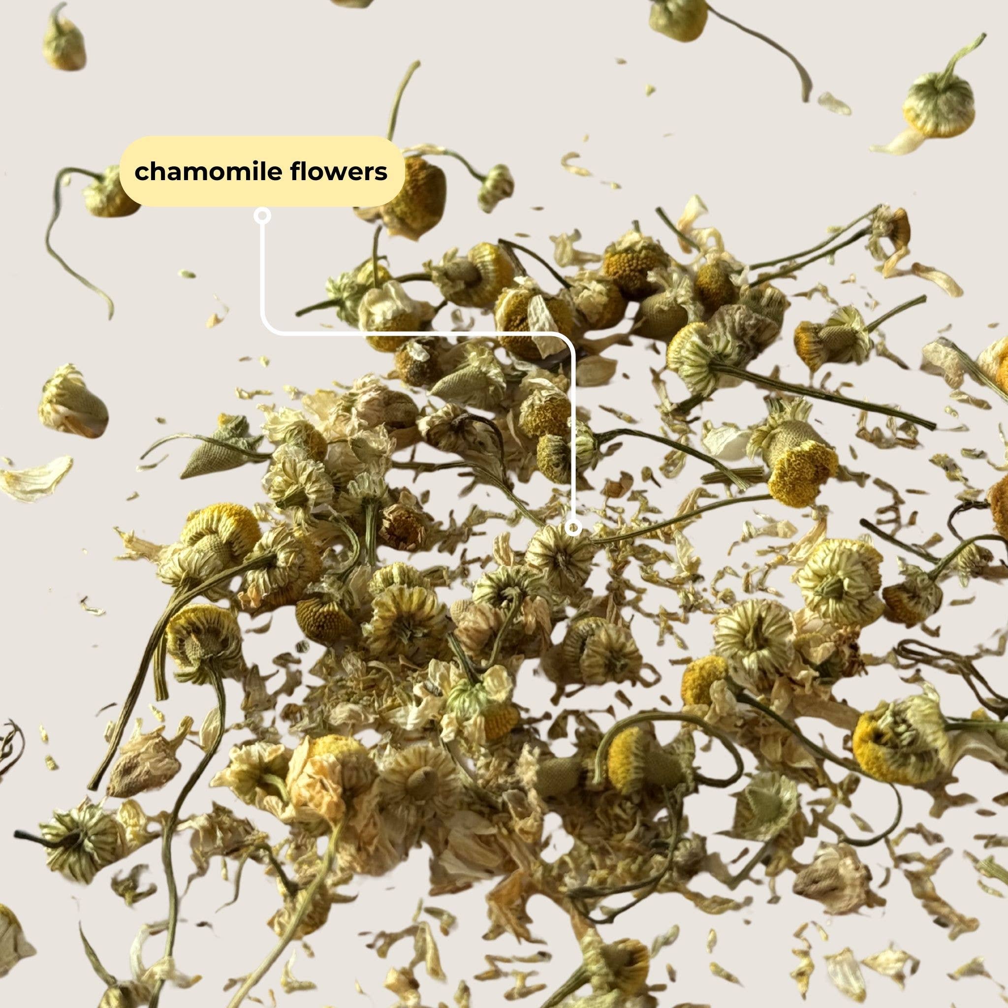 Chamomile Mini Tea Tube (5 tea bags), photo 4 of 8